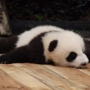 emoji_82 Discord sticker from NV