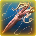 architeuthis