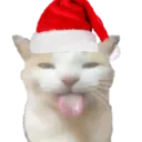 6028christmas2022blehhhhhcat