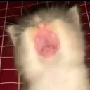 emoji_166