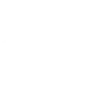 Goose