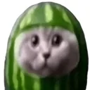 watermelone