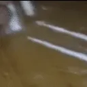 Double_barrel Double_barrel