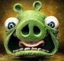 Pig_WHATTHEFUUCK