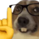 ActuallyDog