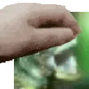 PETTHETUTEL
