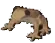 surplusfrog