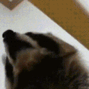 :youdied: