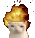 CATEXPLODE