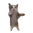 catjump