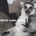 calmdown calmdown