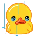 olyDuckCry