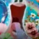 aaaaa
