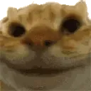 Sisi