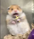 scared
