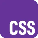 20210css