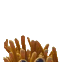 lookacrab_anim