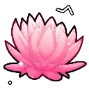 sep_dcn_PinkLotus_NF2U
