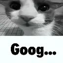 goog goog