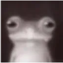 4c5d286315694f898d2c656334938335