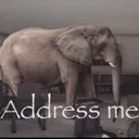 elephantintheroom