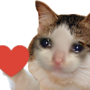 :sad_cat_heart: