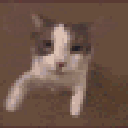 cat_kiss Discord emoji