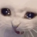 kibbycry