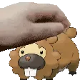 pkcl_bidoof