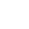 pkcl_eevee1