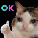 np