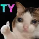 ty
