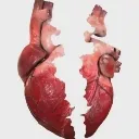 brokenanatomicalheart