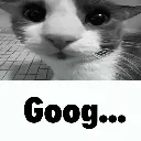 goog