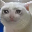 sadge