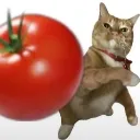 tomatothrow