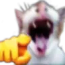 Laugh