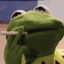 KermitSmoke KermitSmoke