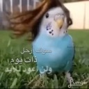 :emoji_1: