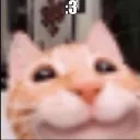 3_