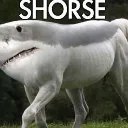 shorse