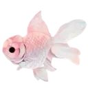 fishIrithyll