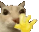 vergilasswave
