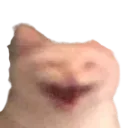 xD xD