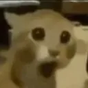 holyfuckingshit