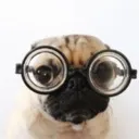 glasses