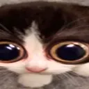 MONKA