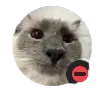 Andrzejki