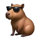 cool_capybara