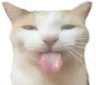 bleh bleh